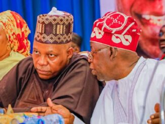 2027: APC Chieftain Warns Against Dropping Shettima, Says Politics Over Sentiment
