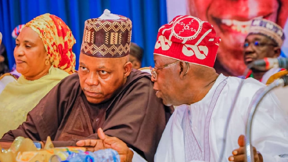 2027: APC Chieftain Warns Against Dropping Shettima, Says Politics Over Sentiment