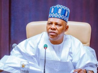 “APC Draws the Line!” Party Shuts Down Rumours of Shettima Being Dropped for 2027
