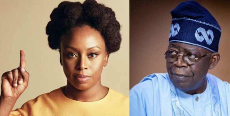 Hardship: Why Nigeria middle class are now beggars – Chimamanda (Video)