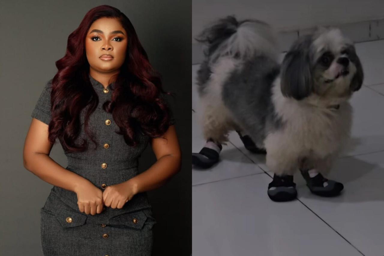 “Ungrateful Pup!” – Bimbo Ademoye Roasts Her Dog Over New Shoe in Hilarious Video
