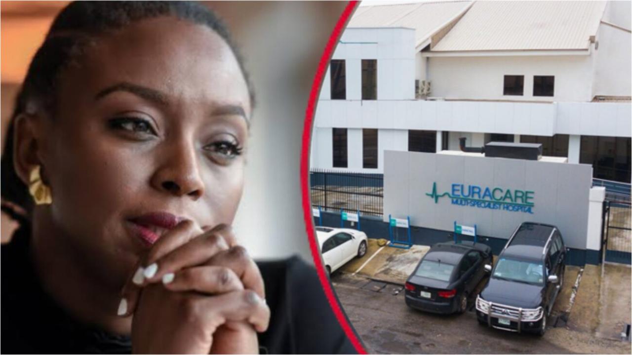 “Shocking Twist!” — Three Doctors Suspended Over Tragic Death of Chimamanda Adichie’s Son