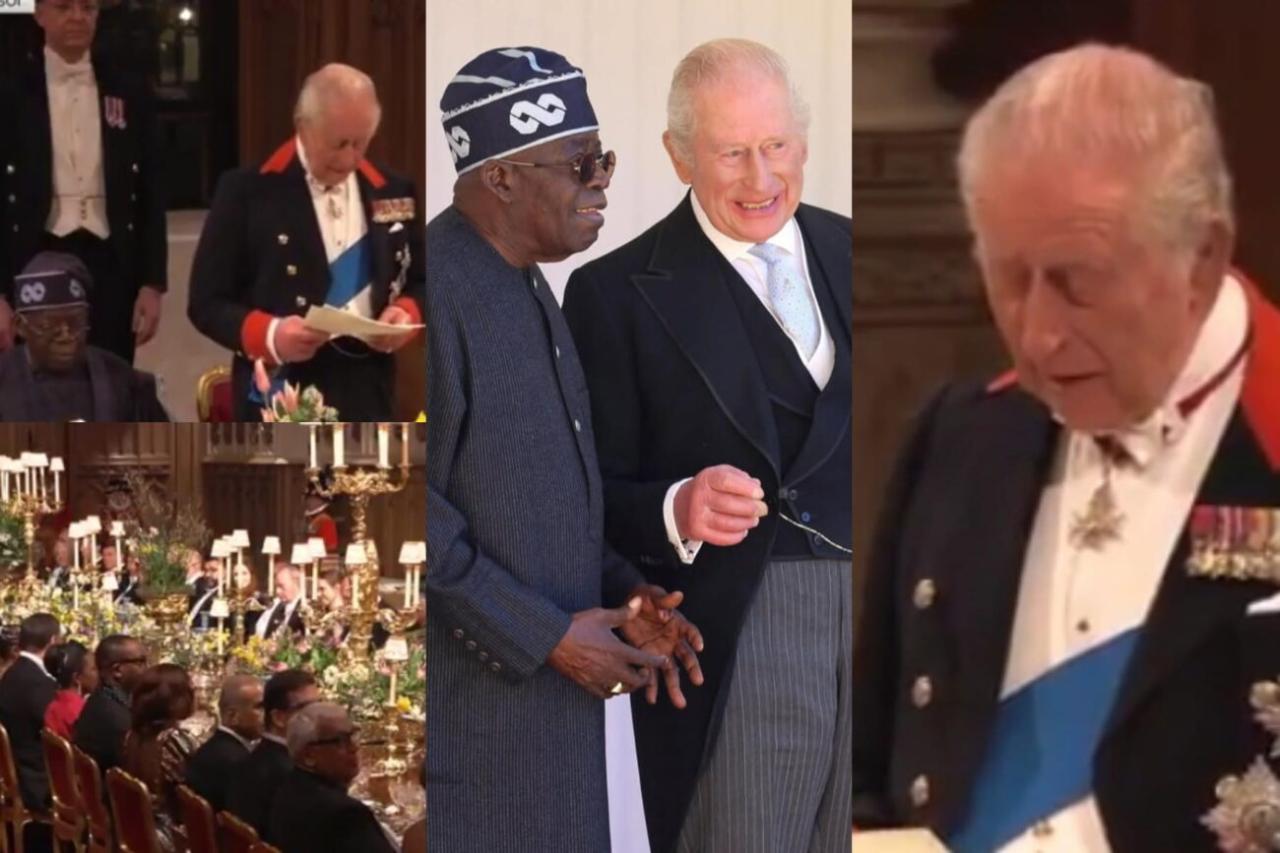 “‘Nigerian Jollof Is the Best!’” – King Charles III Sparks Online War During Tinubu’s Royal Visit