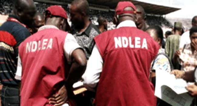 BREAKING: NDLEA Arrests Nigeria Musician, Uncovers Lagos Illicit Drug Laboratory