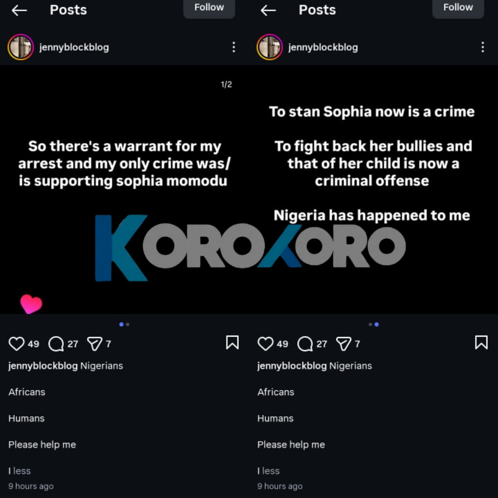 Sophia Momodu’s Die-Hard Fan Withdraws Support After Davido Files Lawsuit