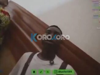 Watch the moment Nigerian TikToker Peller Chased Out of Alake’s Palace During Tour