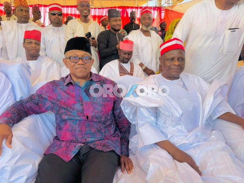 5 Powerful Reasons North May Back Obi–Kwankwaso Against Tinubu 5 Powerful Reasons North May Back Obi–Kwankwaso Against Tinubu