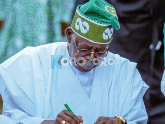 Presidential Source Mentions New State Tinubu May Approve