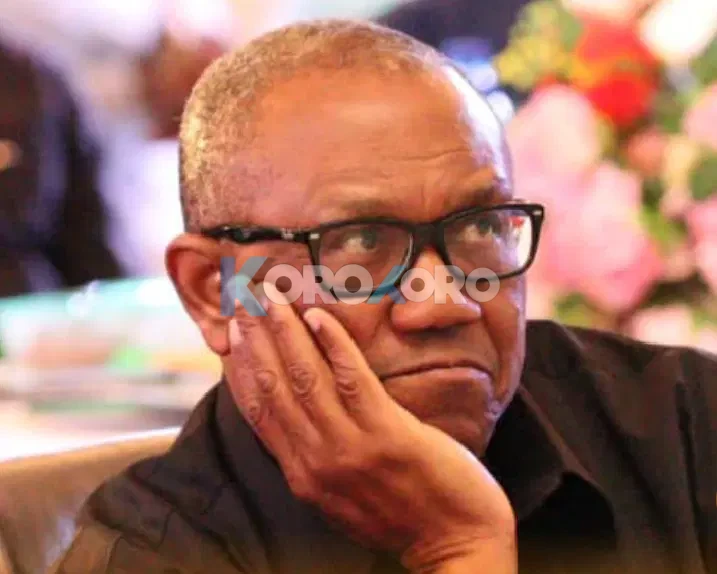 UNCOVERED: Why Peter Obi’s ADC Presidential Ticket Not PO-ssible