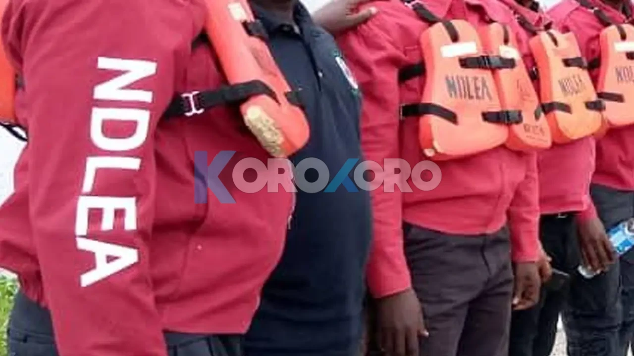 VIDEO: NDLEA Arrests Woman with Tramadol Concealed in Fake Pregnancy