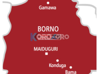 ISWAP Bomb Plan Backfires in Borno: Six Militants Reportedly Killed in Deadly Explosion